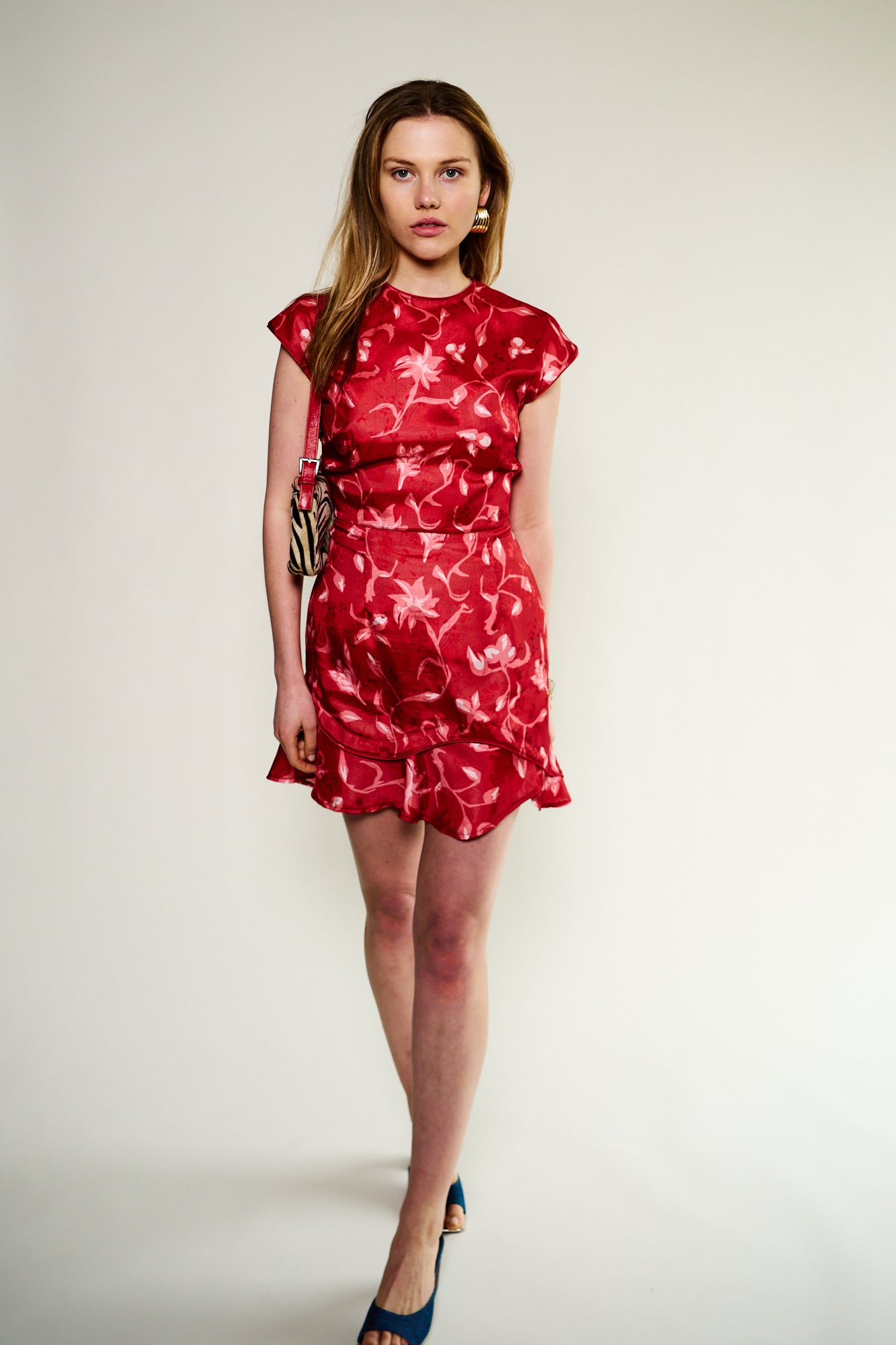 The Dana Dress, Amlul