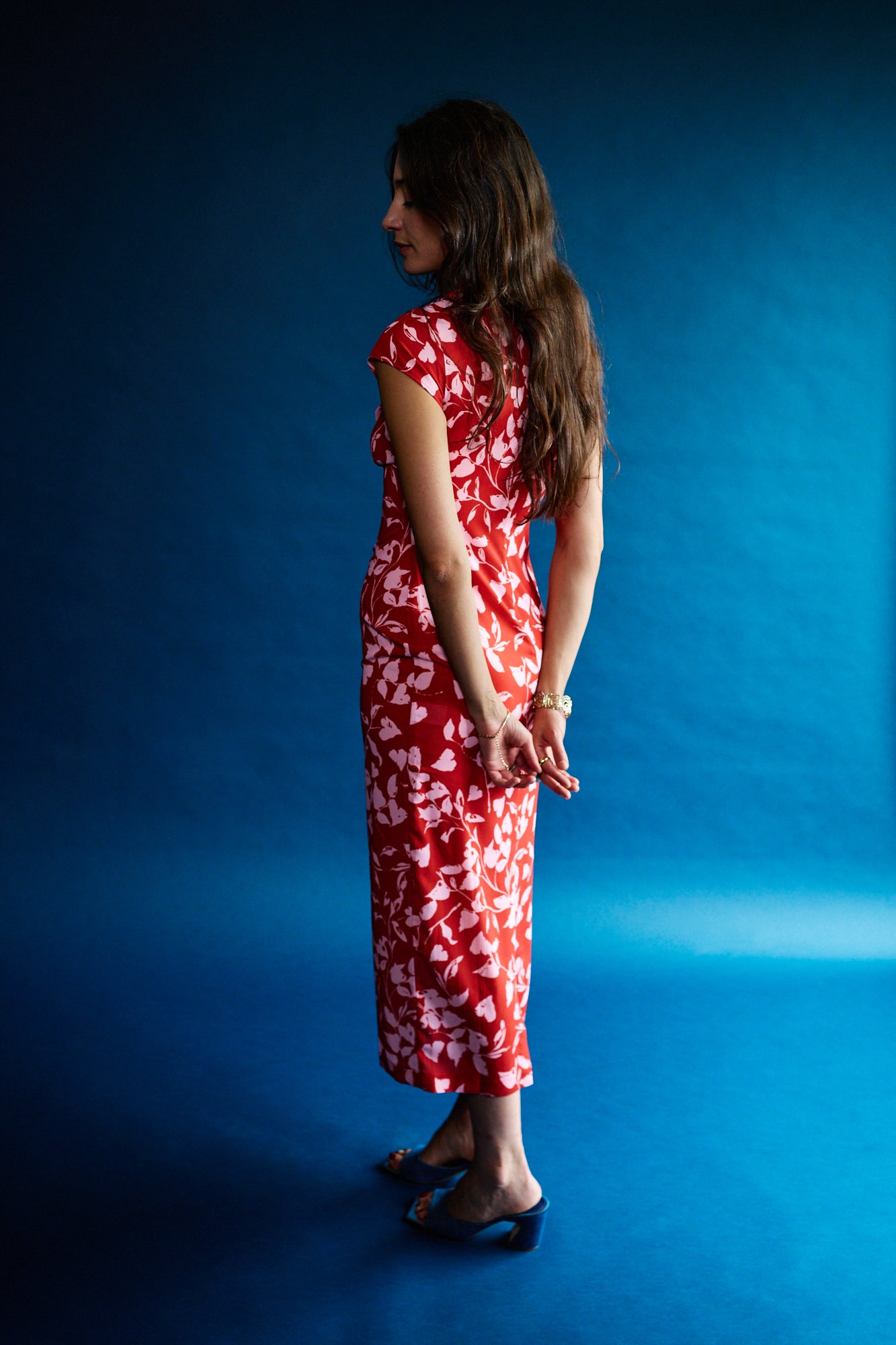 The Poppy Dress, Amlul