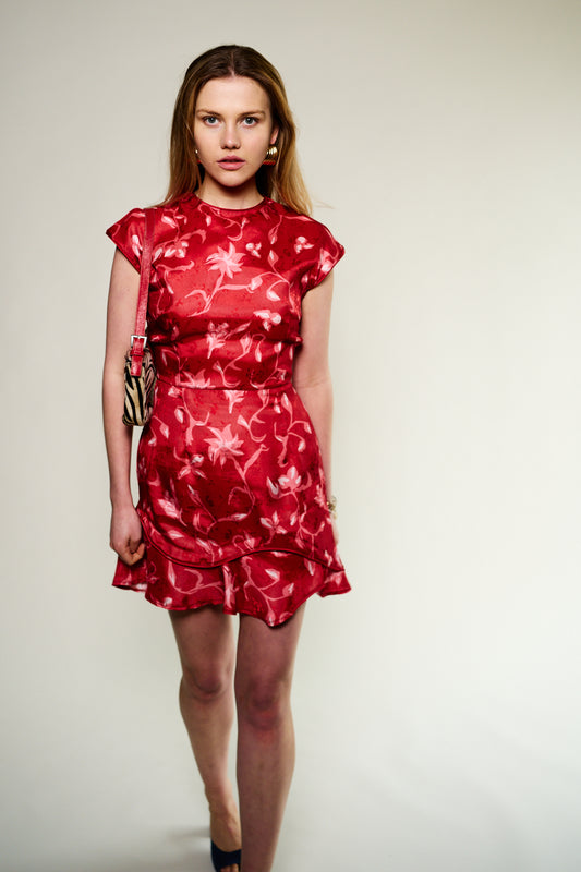 The Dana Dress, Amlul